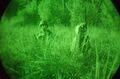 File:120px-400px-Nightvision.jpg