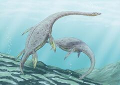 File:240px-640px-Muraenosaurus l2.jpg