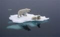 File:120px-300px-Melting bears.jpg