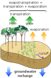 File:180px-Watercycle.png