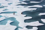 File:180px-480px-Ponds on the Ocean, ICESCAPE.jpg
