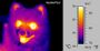 Thumbnail for version as of 18:54, 27 October 2025