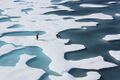 File:120px-522px-Ponds on the Ocean, ICESCAPE.jpg