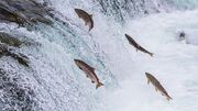 File:180px-240px-3032039-poster-p-shutterstock148260731.jpg