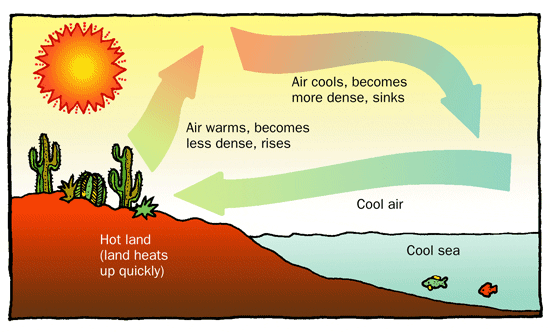File:Convection cell atmos labeled.gif