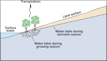 File:350px-Wctranspirationwatertable.gif