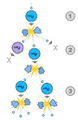 File:78px-90px-2000px-Fission chain reaction.svg.png