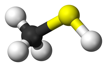 File:640px-Methanethiol-3D-balls.png