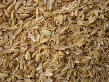 File:360px-Rice chaffs.jpg