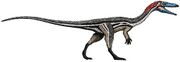File:180px-656px-Coelophysis size flipped.jpg