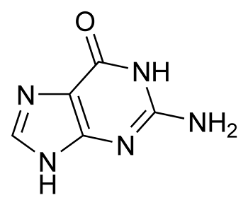 579px-Guanine_chemical_structure.png