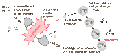 Thumbnail for version as of 20:17, 9 January 2026