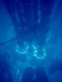 Thumbnail for version as of 22:05, 9 January 2026