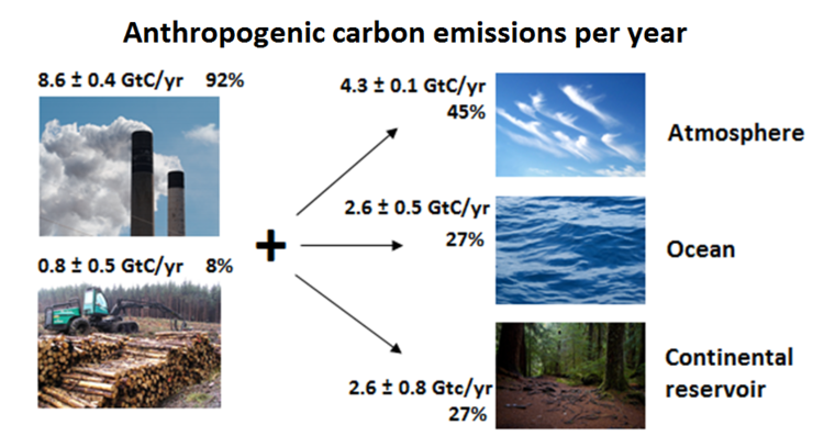 Anthropogenic Carbon Emissions Energy Education
