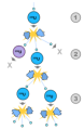 Thumbnail for version as of 18:51, 27 October 2025