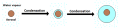 Thumbnail for version as of 19:06, 27 October 2025