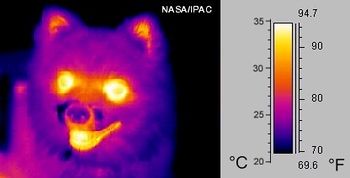 infrared examples of use
