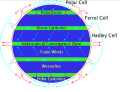 Thumbnail for version as of 21:32, 9 January 2026