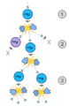 Thumbnail for version as of 22:10, 9 January 2026