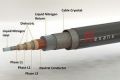 Thumbnail for version as of 18:52, 27 October 2025