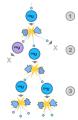 Thumbnail for version as of 18:51, 27 October 2025