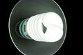 8450-a-compact-fluorescent-light-bulb-pv.jpg