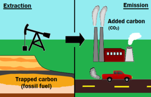 Carbonextraction.png
