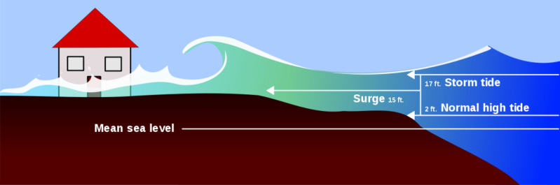 File:1200px-1280px-Surge-en.svg.png