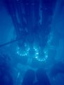 Thumbnail for version as of 18:59, 27 October 2025