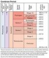 Thumbnail for version as of 21:38, 9 January 2026