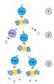 Thumbnail for version as of 21:59, 9 January 2026