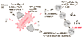 Thumbnail for version as of 21:31, 9 January 2026