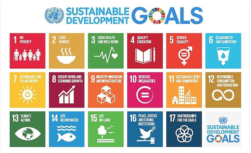 File:Sustainable Development Goals.jpg