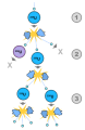 Thumbnail for version as of 18:51, 27 October 2025
