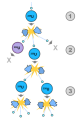 Thumbnail for version as of 22:10, 9 January 2026