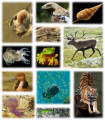 Thumbnail for version as of 18:51, 27 October 2025