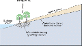 Thumbnail for version as of 18:50, 27 October 2025