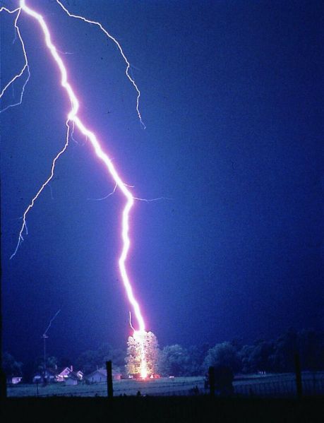 File:800px-Lightning hits tree.jpg