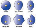 Thumbnail for version as of 18:47, 27 October 2025