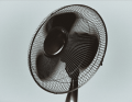Thumbnail for version as of 18:52, 27 October 2025