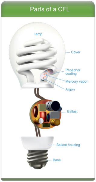 File:477px-Parts of CFL large.jpg