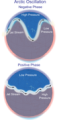 Thumbnail for version as of 21:58, 9 January 2026