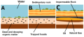 Thumbnail for version as of 18:48, 27 October 2025