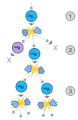 Thumbnail for version as of 22:10, 9 January 2026
