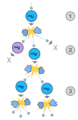 Thumbnail for version as of 18:51, 27 October 2025