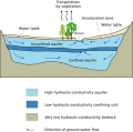 Thumbnail for version as of 22:03, 9 January 2026