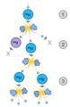 Thumbnail for version as of 21:54, 9 January 2026