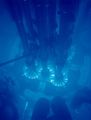 Thumbnail for version as of 21:35, 9 January 2026