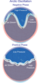 Thumbnail for version as of 18:54, 27 October 2025