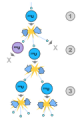 Thumbnail for version as of 21:36, 9 January 2026